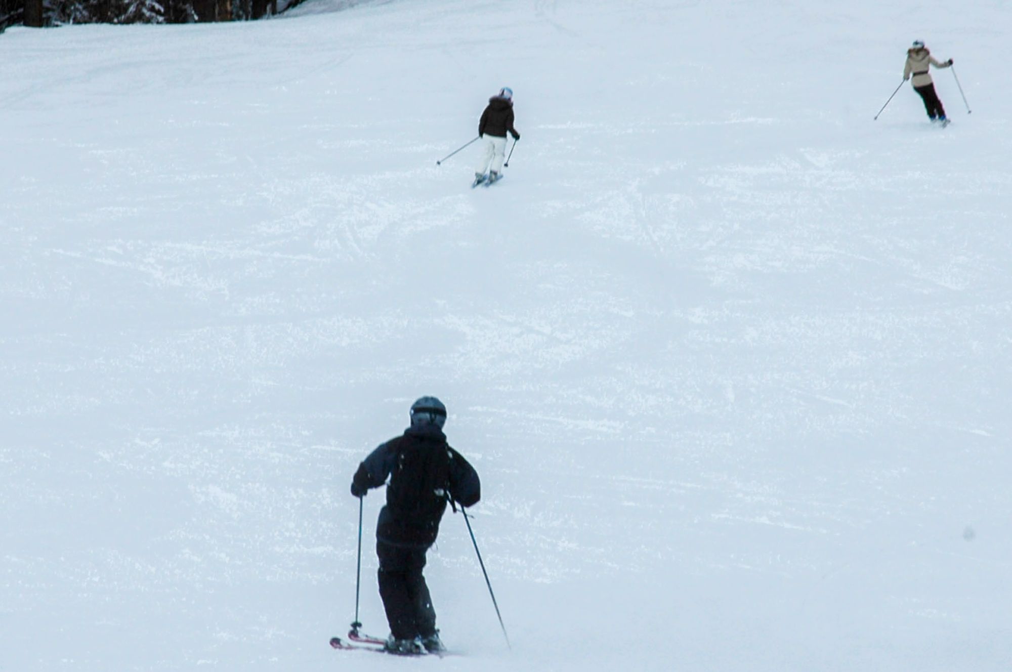 2010 Beaver Creek 10